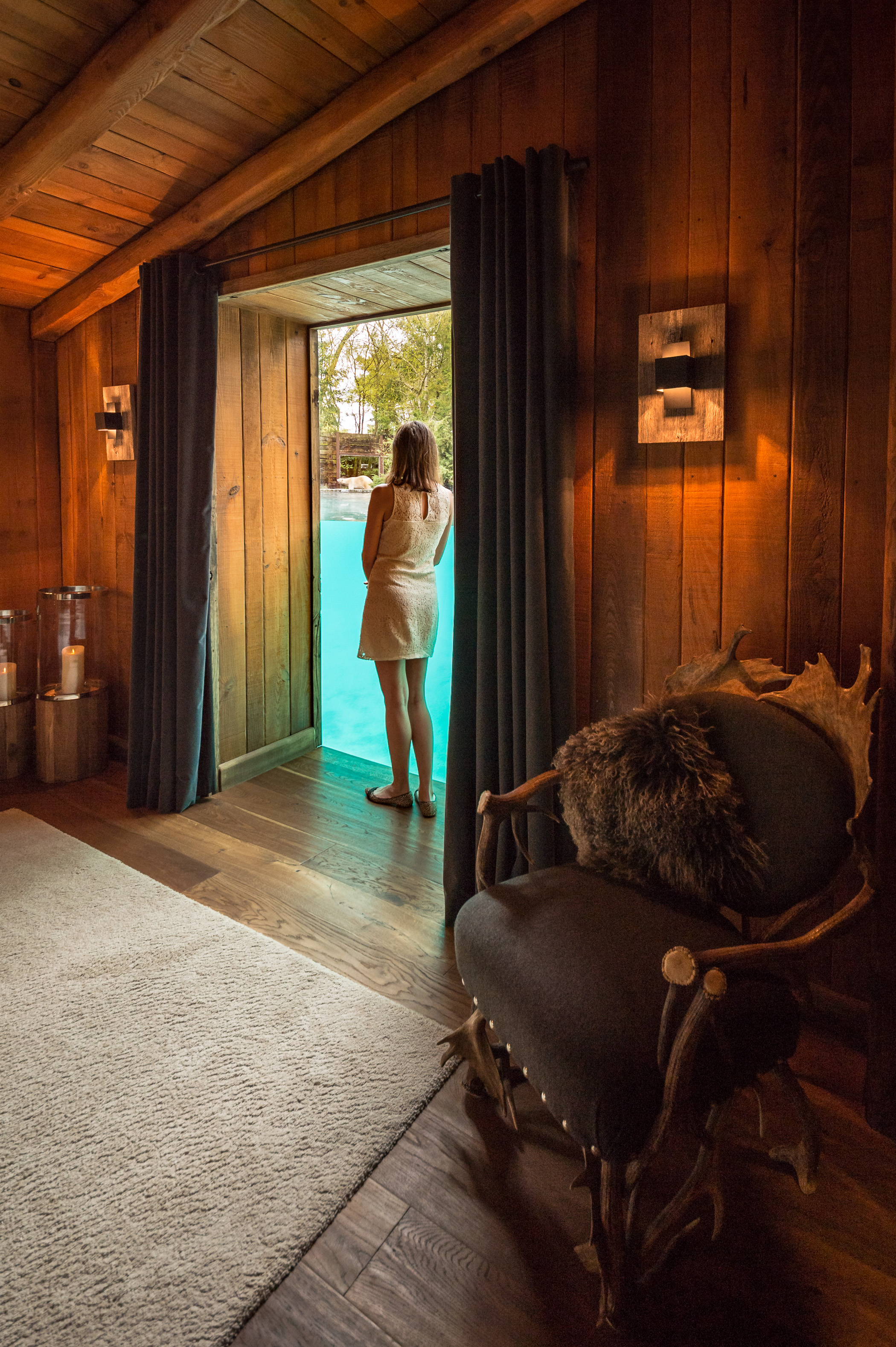 Europe, France, région du Val-de-Loire, département de la Sarthe (72), Le Tertre Rouge (72200) La Flèche, Zoo de la Flèche, hébergement insolite en famille à l'Arctic Lodge pour un face à face intime avec les ours blancs ou ours polaires (Ursus maritimus), ici la suite parentale avec vue imprenable sur le bassin des ours, mi-air mi-eau, Statut de protection - Convention de Washington Annexe II B (CITES), Statut UICN - Risque minimum – dépendant de mesures de conservation (LR-cd), PR, MR // Europe, France, Val-de-Loire, Sarthe (72), Le Tertre Rouge (72200) La Flèche, La Flèche Zoo, Unusual family accommodation at the Arctic Lodge for an intimate face to face with polar bears or polar bears (Ursus maritimus), here the master suite with breathtaking views of the Bear pool, mid-air mid-water, Protection status - Washington Convention Appendix II B (CITES), IUCN Status - Minimum Risk - Dependent on Conservation Measures (LR-cd), PR, MR