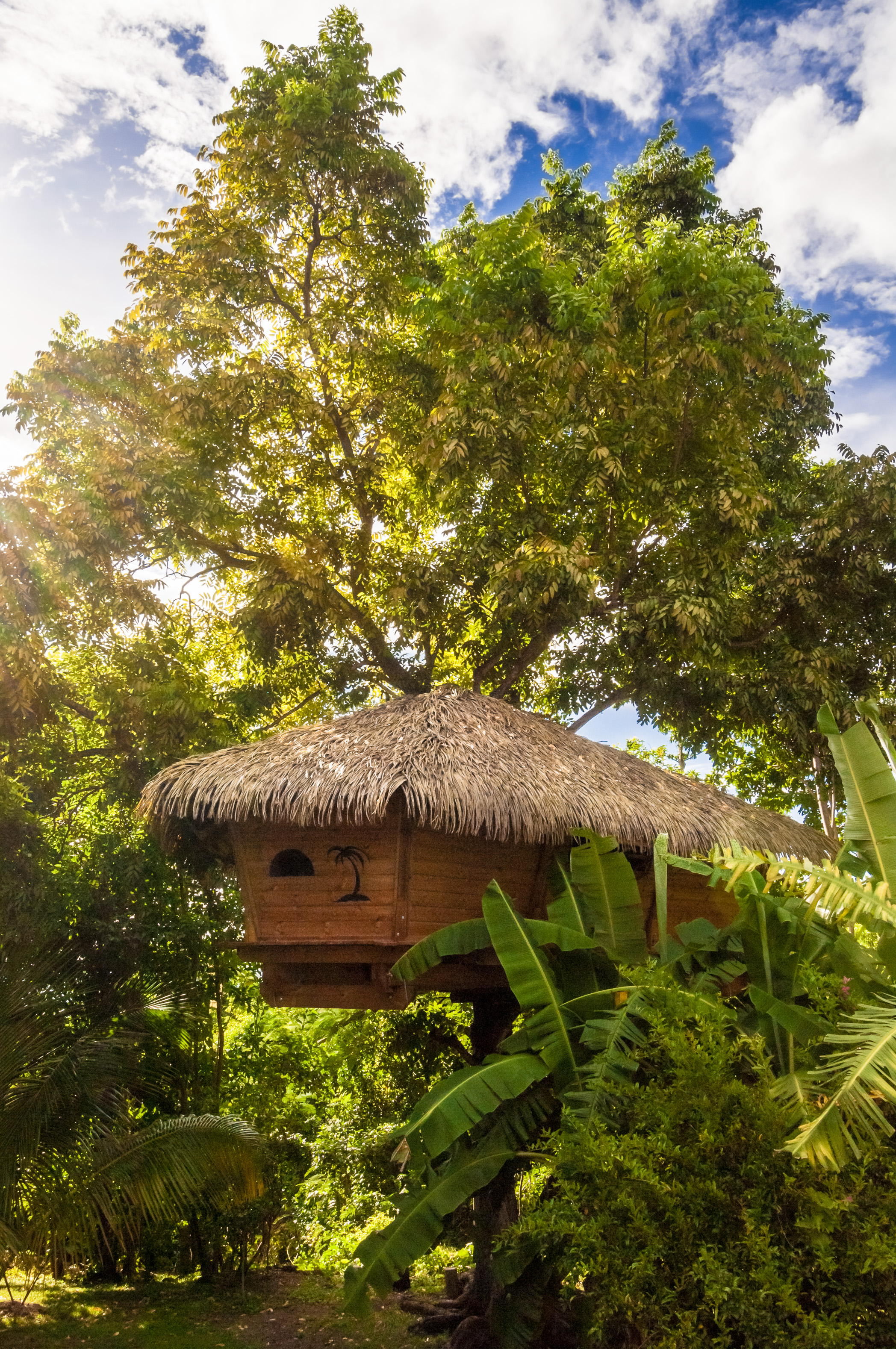 http://www.chambrescabanesguadeloupe.com
