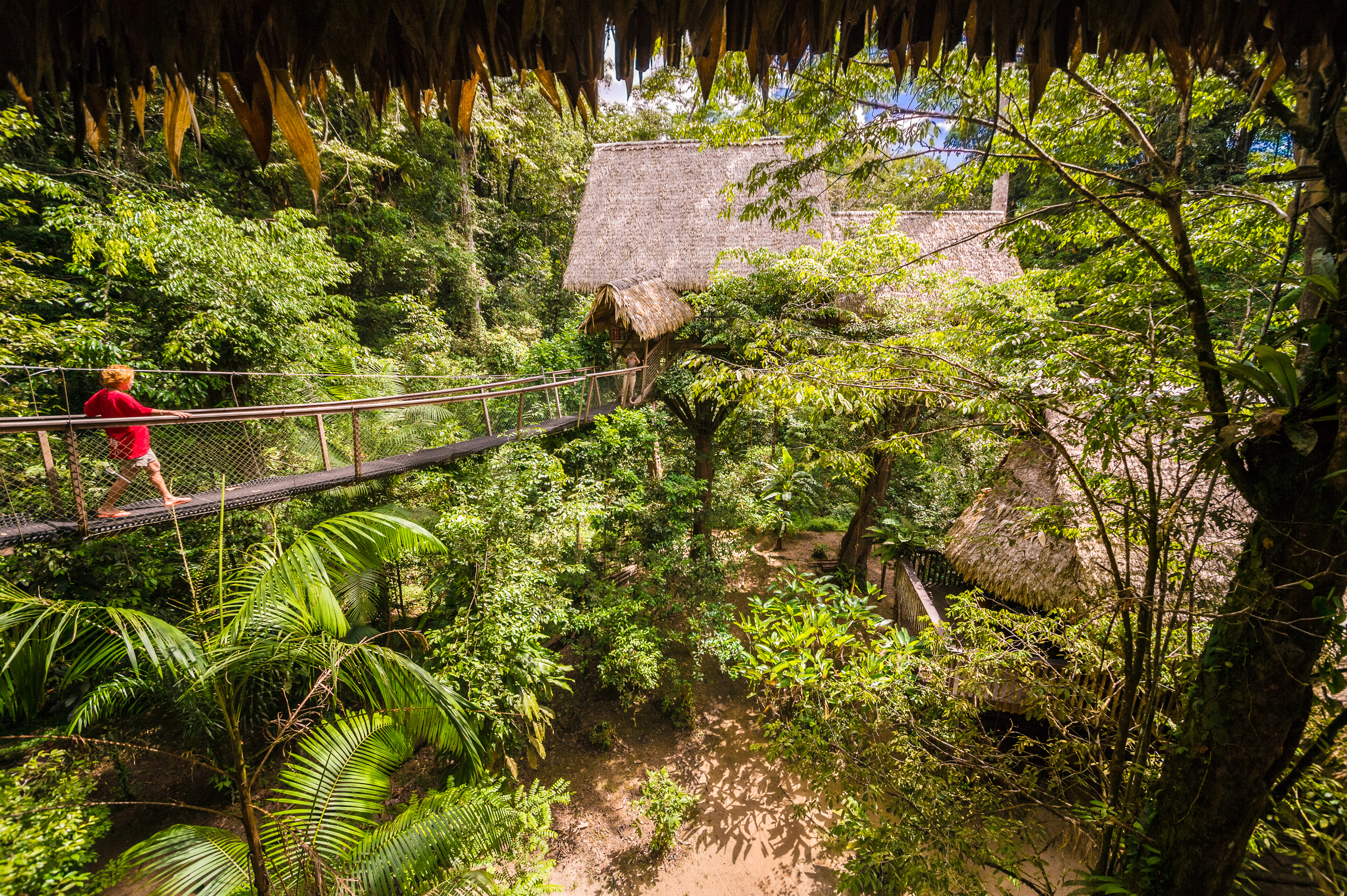 France, Guyane, Kourou, Camp Canopée, Pont suspendu à 10 m du sol entre deux carbets de repos en hamacs // France, French Guiana, Kourou, Camp Canopée, Suspension bridge 10 m from the ground between two resting huts with hammocks