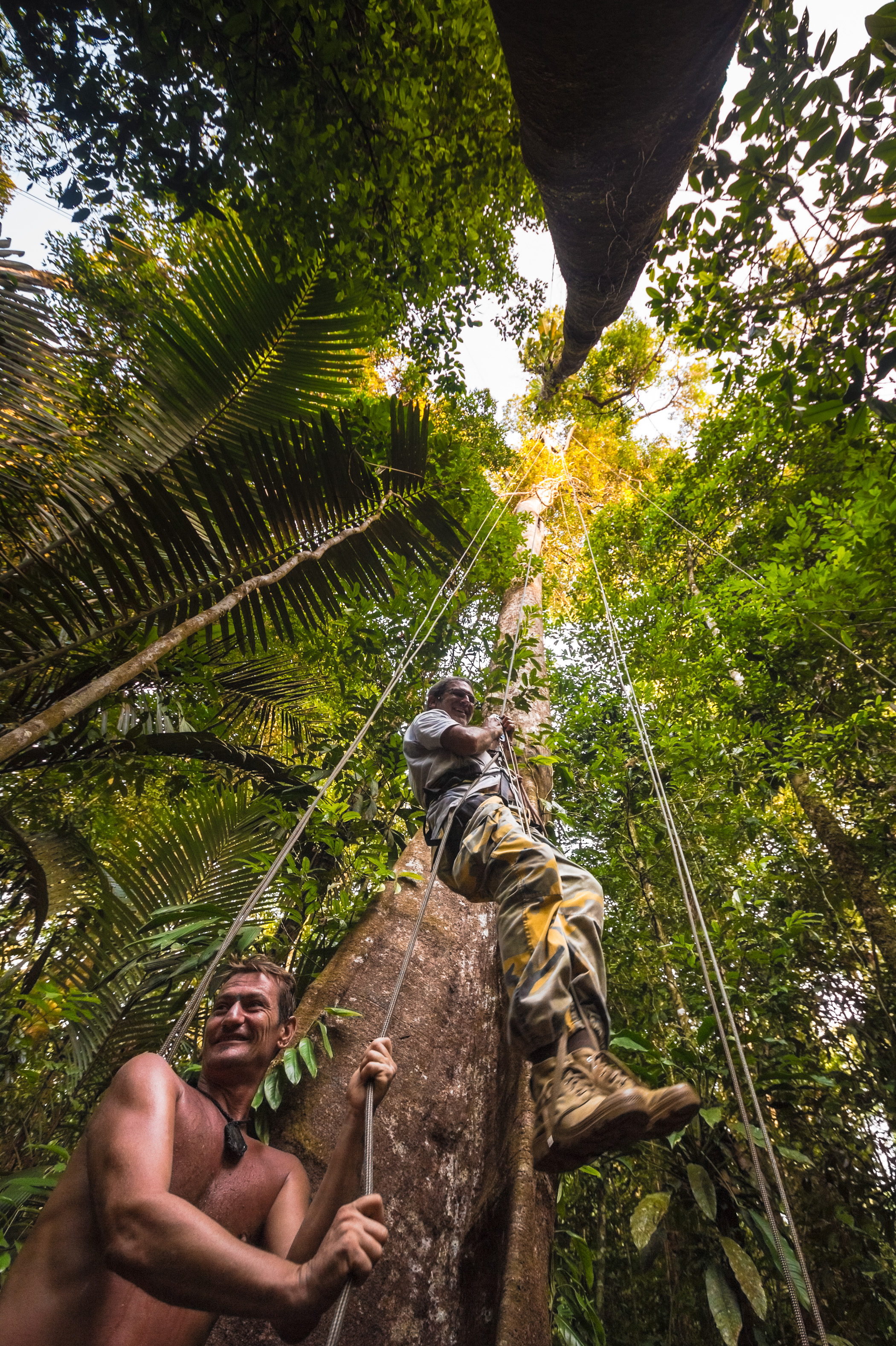 France, Guyane, Kourou, Camp Canopée, Escalade à la corde jusqu'à la canopée, à 36 m du sol // France, French Guiana, Kourou, Camp Canopée, Climbing with a rope to the canopy, 36 m above the ground