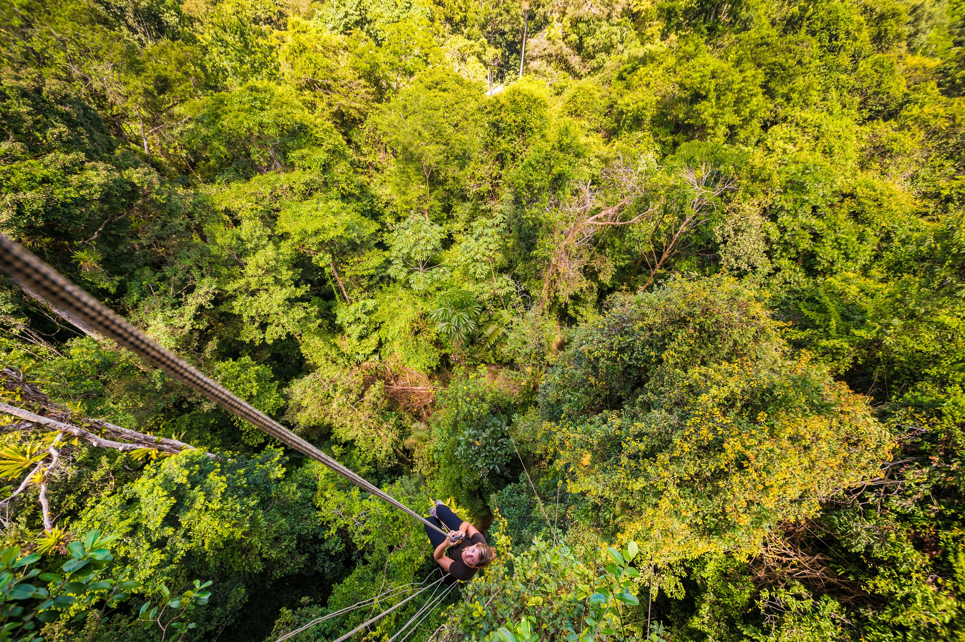 France, Guyane, Kourou, Camp Canopée, Escalade à la corde jusqu'à la canopée, à 36 m du sol // France, French Guiana, Kourou, Camp Canopée, Climbing with a rope to the canopy, 36 m above the ground