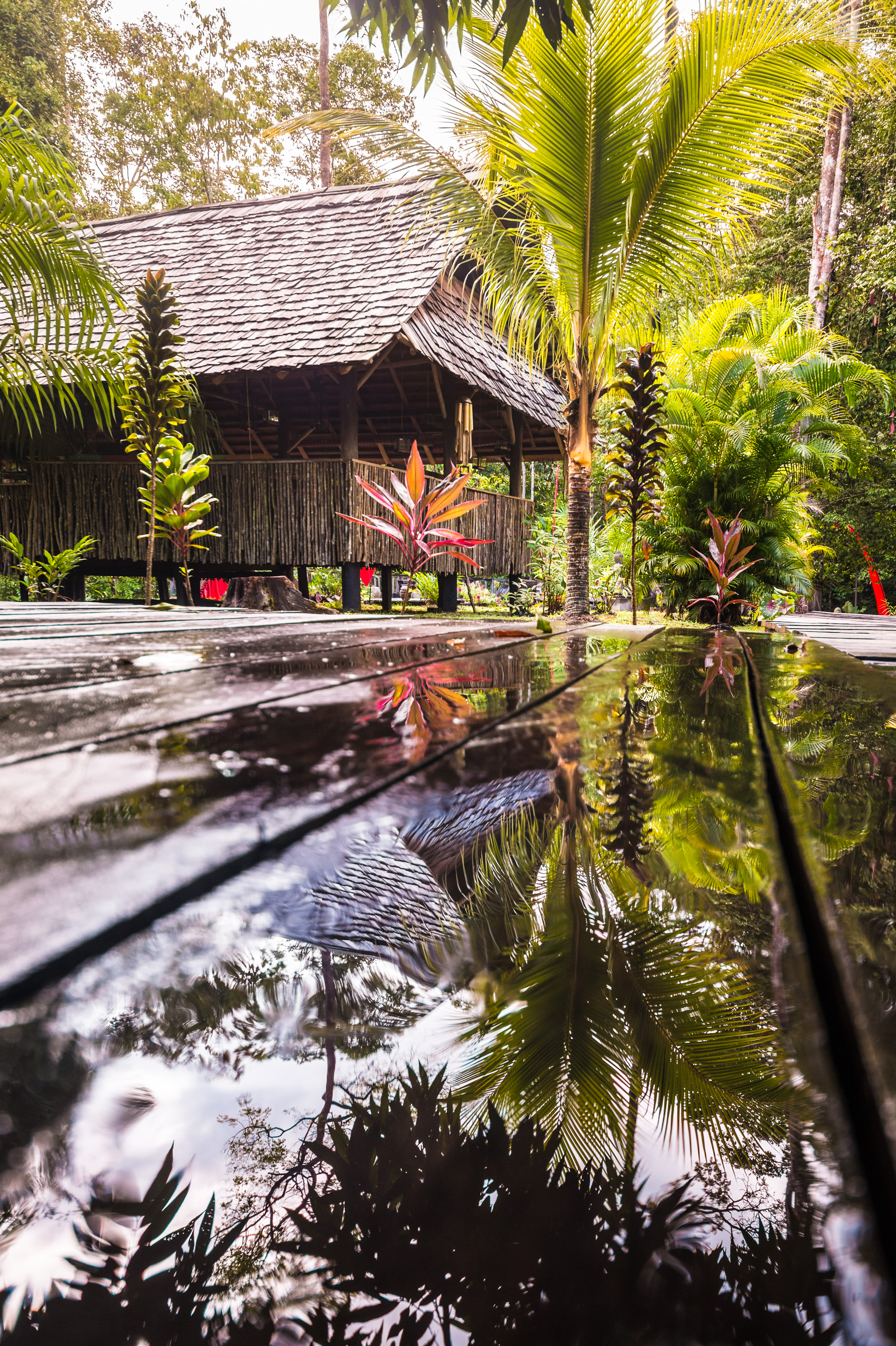 France, Guyane, Kourou, Carbet principal de relaxation et restauration du Wapa Lodge après la pluie // France, French Guiana, Kourou, Main hut of relaxation and restoration after the rain, Wapa Lodge