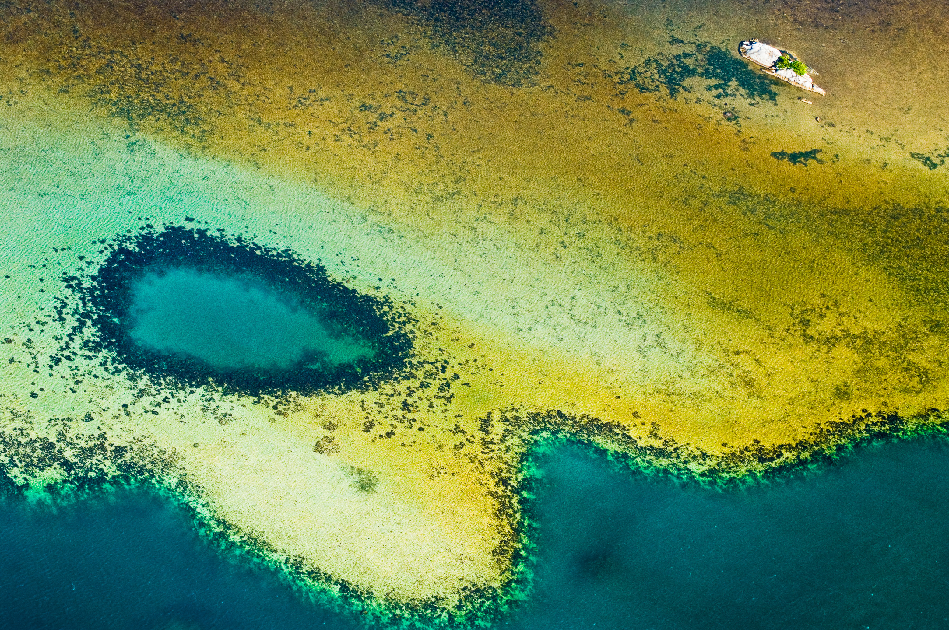 Grand écart entre les Tsingy de Bemaraha et la côte Est, lors du passage des baleines à bosse / Photos : Aurélien BRUSINI