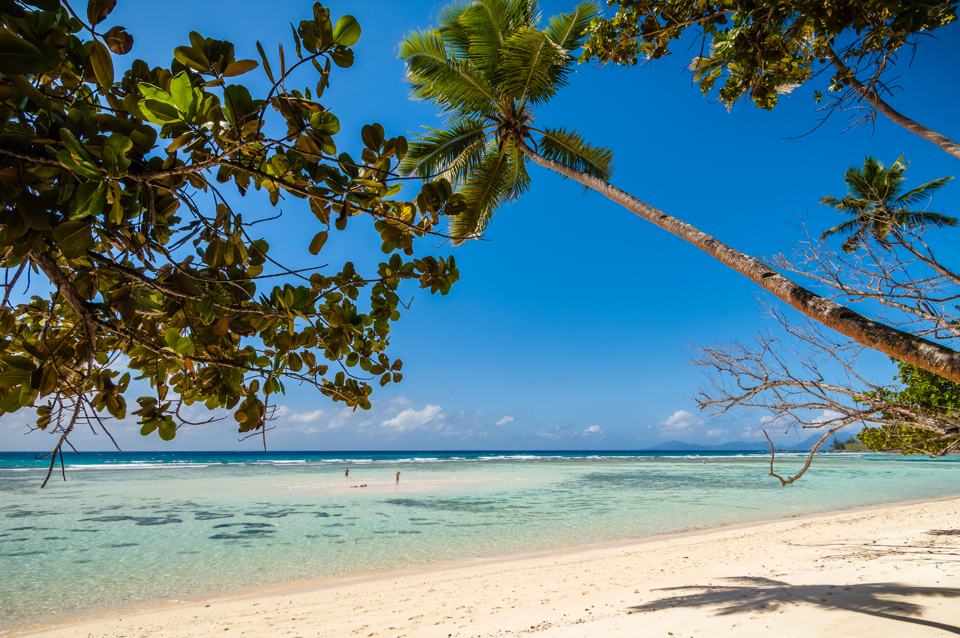Seychelles, océan Indien, île de Silhouette, Hilton Seychelles Labriz Resort & Spa, détente sur la plage de sable blanc au milieu du lagon // Seychelles, Indian Ocean, Silhouette Island, Hilton Seychelles Labriz Resort & Spa, relaxing on the white sand beach in the lagoon