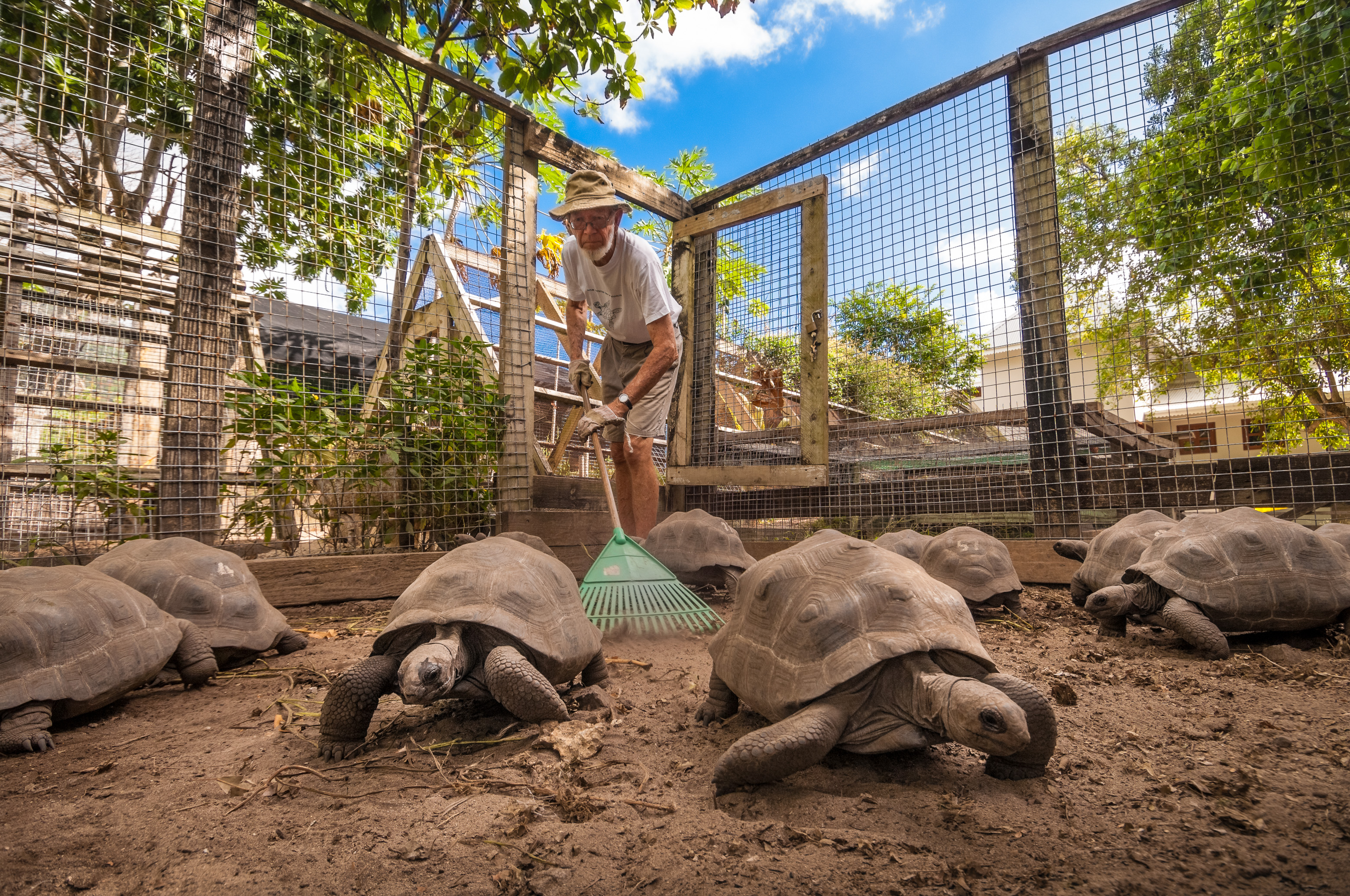 Seychelles, océan Indien, île de Silhouette, nursery de tortues terrestres géantes des Seychelles (Aldabrachelys gigantea) supervisée par l'écologue sud-africain Ron GERLACH de Nature Protection Trust of Seychelles // Seychelles, Indian Ocean island of Silhouette, nursery of giant tortoises of Seychelles (Aldabrachelys gigantea) supervised by the South African ecologist Ron GERLACH of Nature Protection Trust of Seychelles, MR no