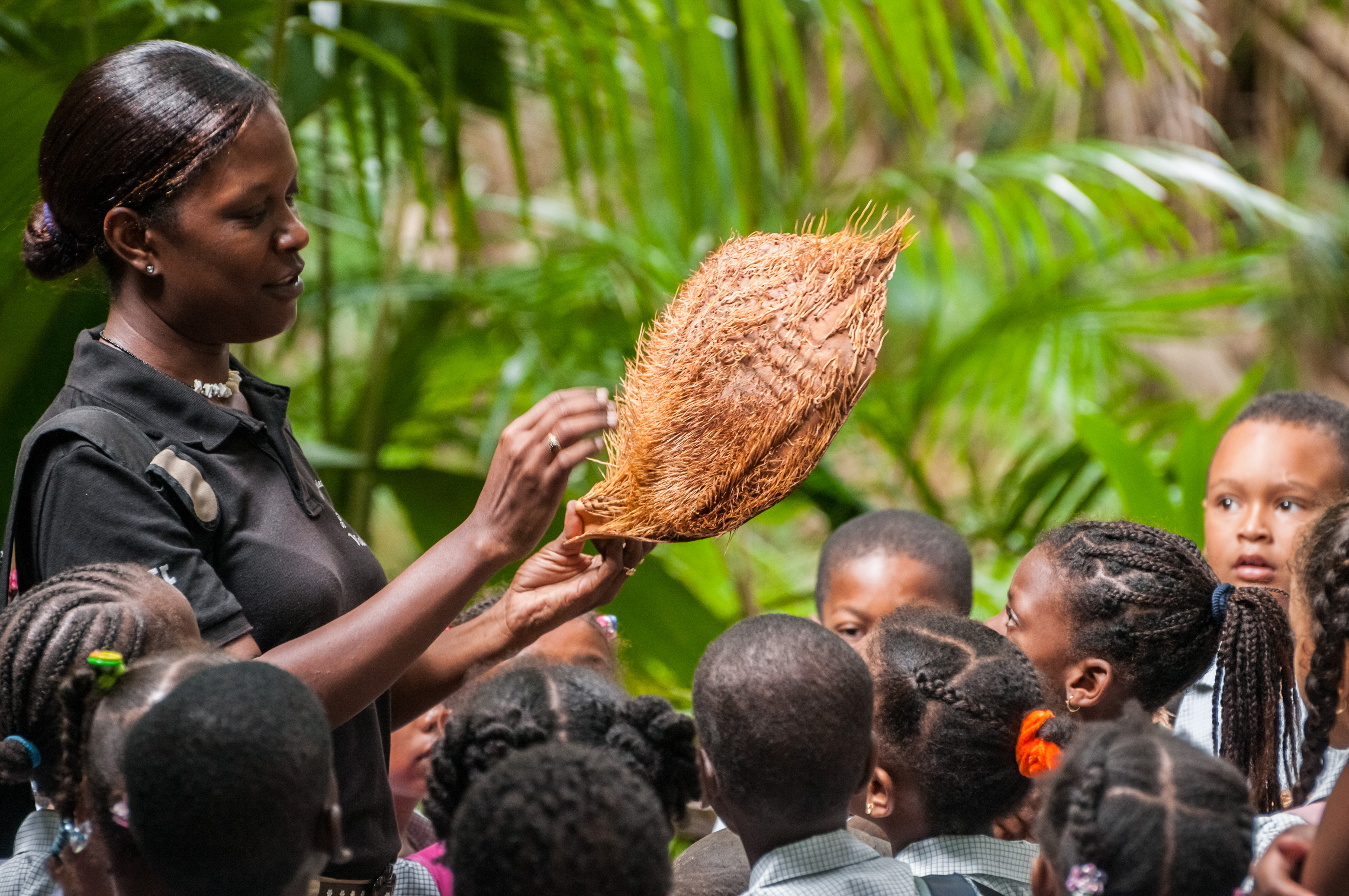 Seychelles, océan Indien, île de Praslin, Parc national de la Vallée de Mai inscrite au patrimoine mondial de l'Humanité par l'Unesco, séance d'observation naturaliste pour un groupe scolaire, MR-PR non // Seychelles, Indian Ocean, island of Praslin, Vallée de Mai National Park, Unesco World Heritage area, naturalistic observation session for a school group, MR-PR no