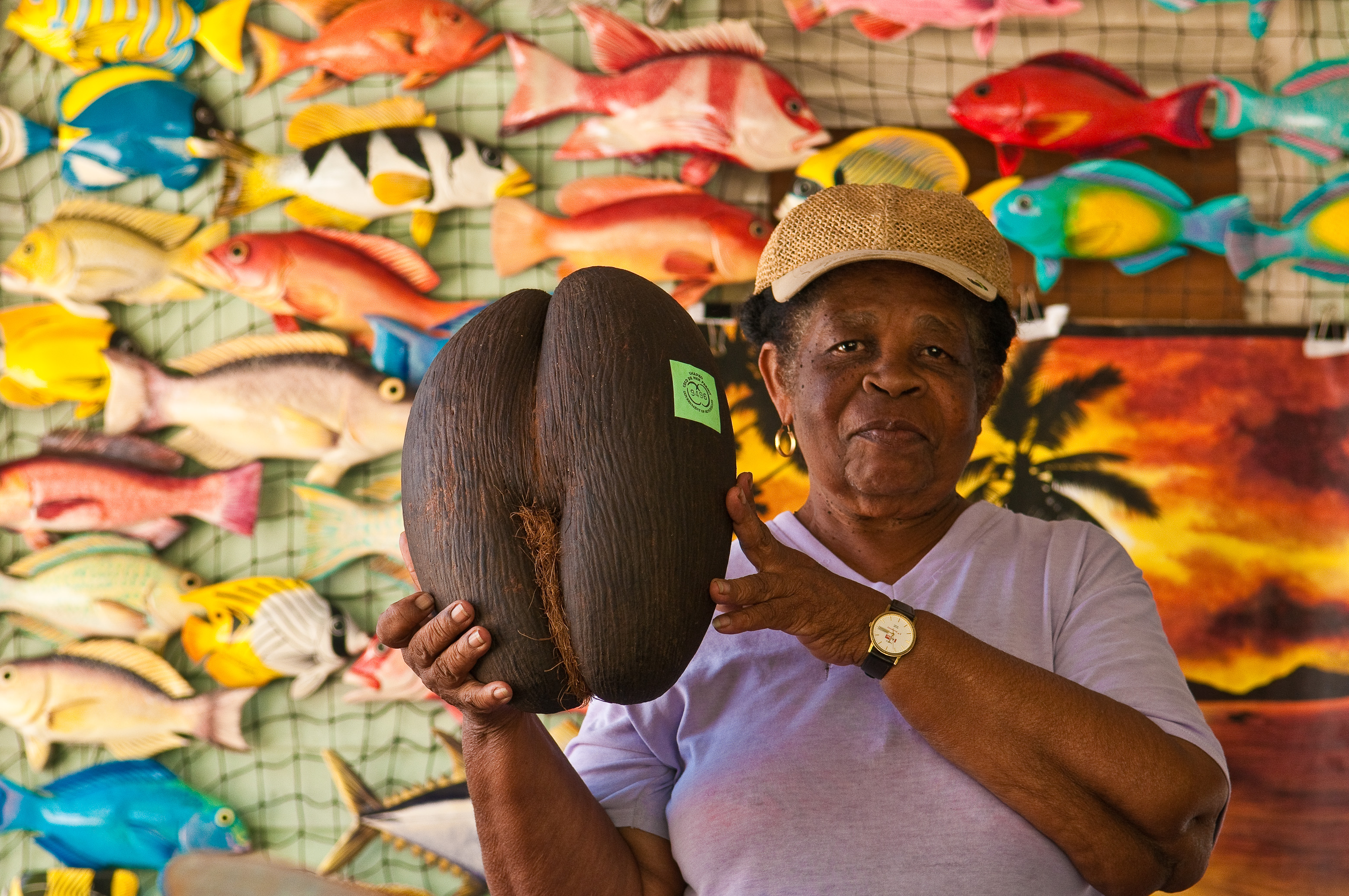 Seychelles, océan Indien, île de Mahé, Victoria, Marie-Ange LAWEN avec une coco de mer (Lodoicea maldivica) endémique dans les bras, devant son échoppe sur Francis Rachel Street, MR-PR non // Seychelles, Indian Ocean, Mahe Island, Victoria, Marie-Ange LAWEN with an endemic Coco de mer nut (Lodoicea maldivica) in the arms in front of her shop on Francis Rachel Street, MR-PR no