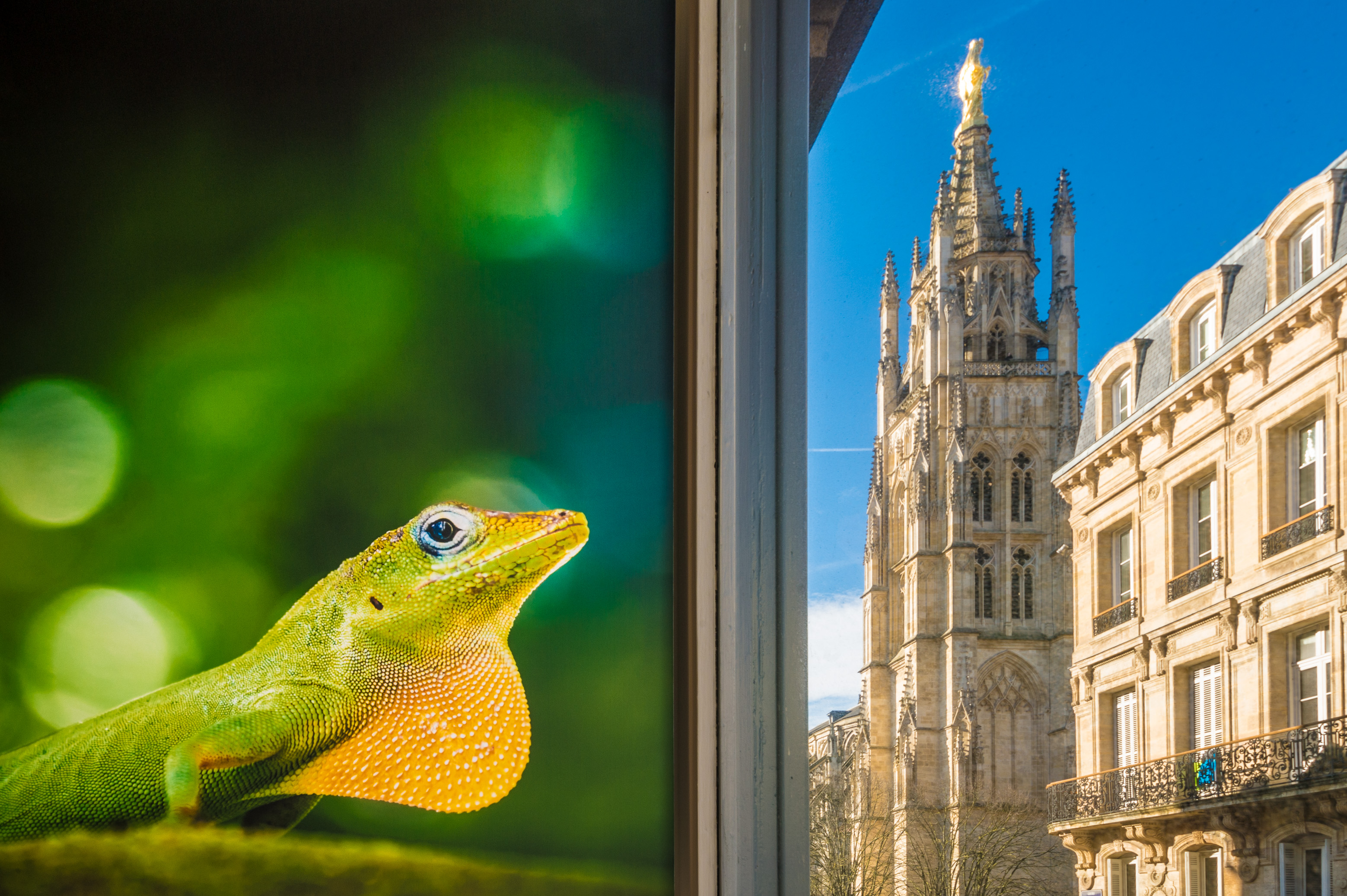 Exposition pour les agences de voyage sur mesure TUI (Toulouse - Bordeaux)