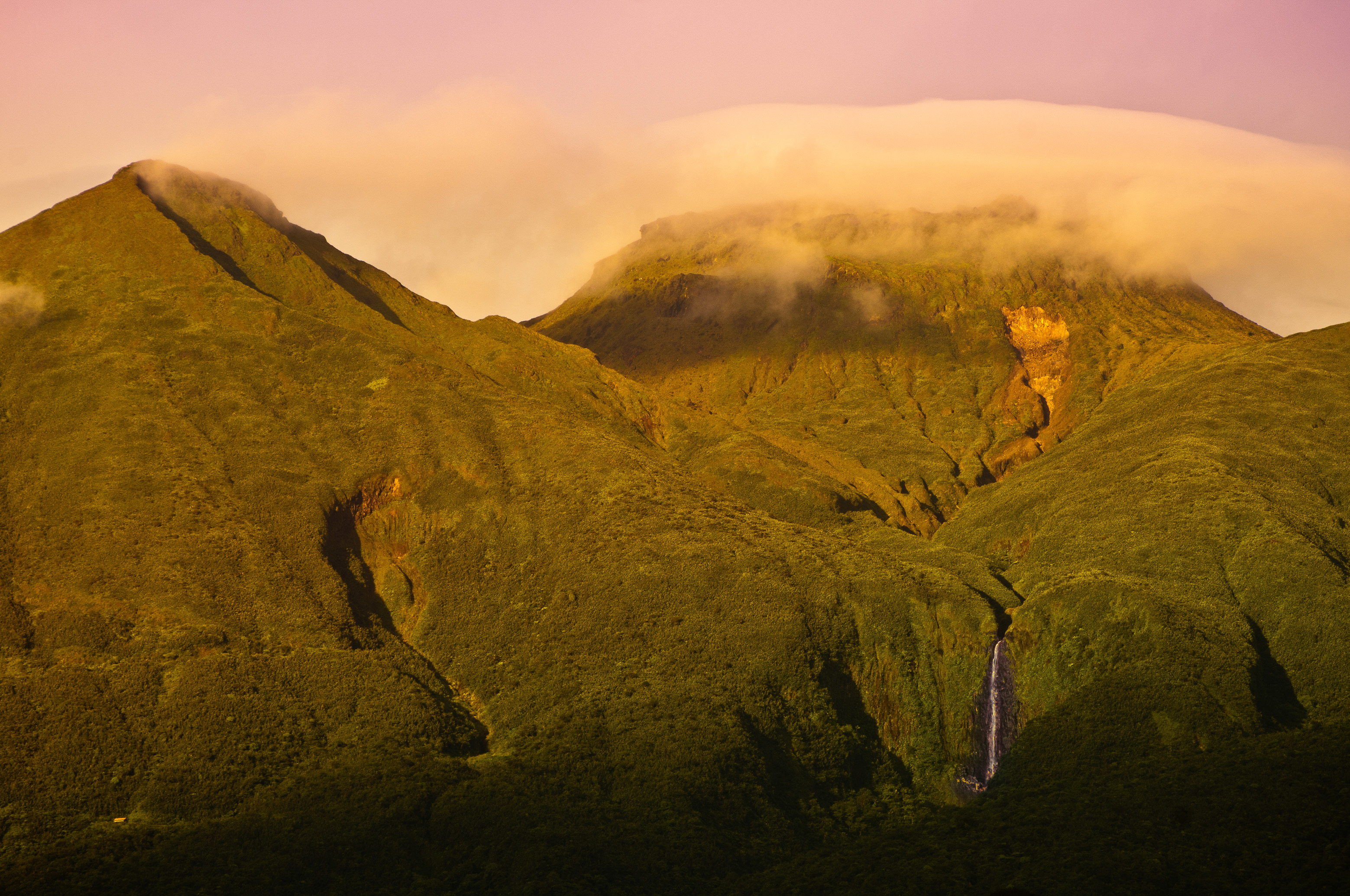 France, Guadeloupe, Basse-Terre, Saint-Claude, La Soufrière, surnommée « vié madanm la » en créole guadeloupéen ou « la vieille dame » en français, est un volcan en activité situé dans le parc national. Seul volcan actif de l’île, actuellement à l’état de repos éruptif, elle fait partie d’un ensemble volcanique composé des volcans Carmichaël, le Nez Cassé, l’Échelle, la Citerne et la Madeleine. C'est l’un des neuf volcans actifs des Petites Antilles. La végétation sur les flancs de la Soufrière est remarquable pour sa biodiversité. Elle s'étage sur trois niveaux : la forêt tropicale dense jusqu'à 1 100 mètres, les maquis humides denses entre 1 100 et 1 400 mètres composés d'arbustes ne dépassant pas deux mètres de hauteur (entre autres, Schefflera attenuata, Clusia mangle, Miconia coriacea), les prairies sommitales d'où émergent des bromeliaceae : Guzmania plumieri omniprésent, et surtout Pitcairnia bifrons, espèce pionnière présente jusqu'au bord des bouches éruptives (PR) // France, Guadeloupe, Basse-Terre, Saint-Claude, La Soufrière, nicknamed "the vié madanm" in Guadeloupean Creole or "the old lady" in French, is an active volcano located in the national park. Only active volcano on the island, currently the eruptive resting state, it is part of a volcanic ensemble of Carmichael volcanoes, Nose Broken, Scale, Cistern and the Madeleine. This is one of the nine active volcanoes of the Lesser Antilles. The vegetation on the slopes of the Soufriere is noted for its biodiversity. It sprawls over three levels: the dense tropical forest to 1100 meters, dense humid scrub between 1100 and 1400 meters of shrubs compounds not exceeding two meters high (among other Schefflera attenuata, Clusia mangle , Miconia coriacea), the apical meadows from which emerge bromeliaceae: Guzmania plumieri ubiquitous, especially Pitcairnia bifrons, this pioneer species to the edge of the eruptive vents (PR)