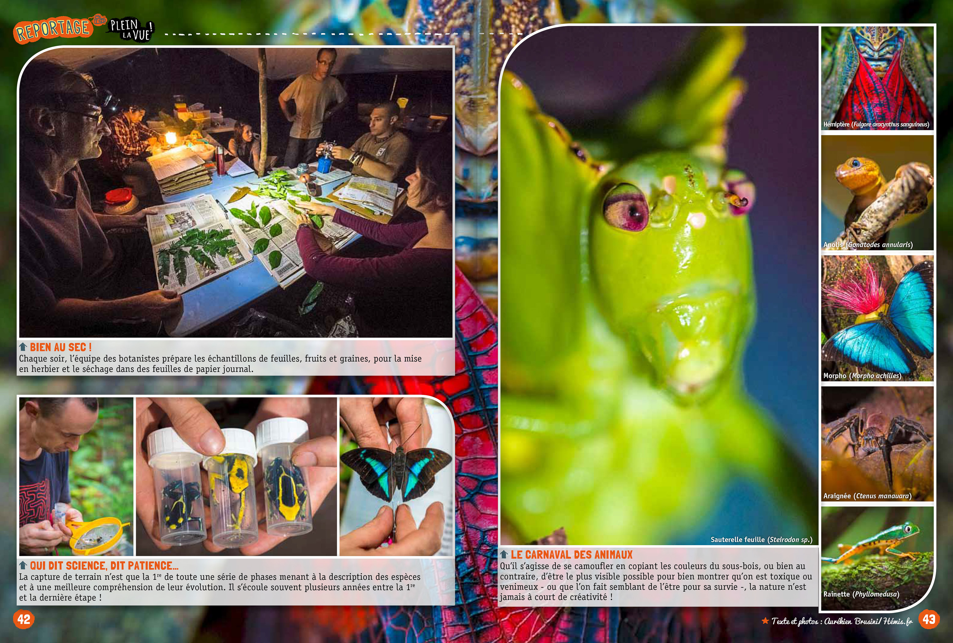 Reportage paru dans le magazine GEO Ado n°160 - Texte & photos Aurélien BRUSINI - Hémis.fr