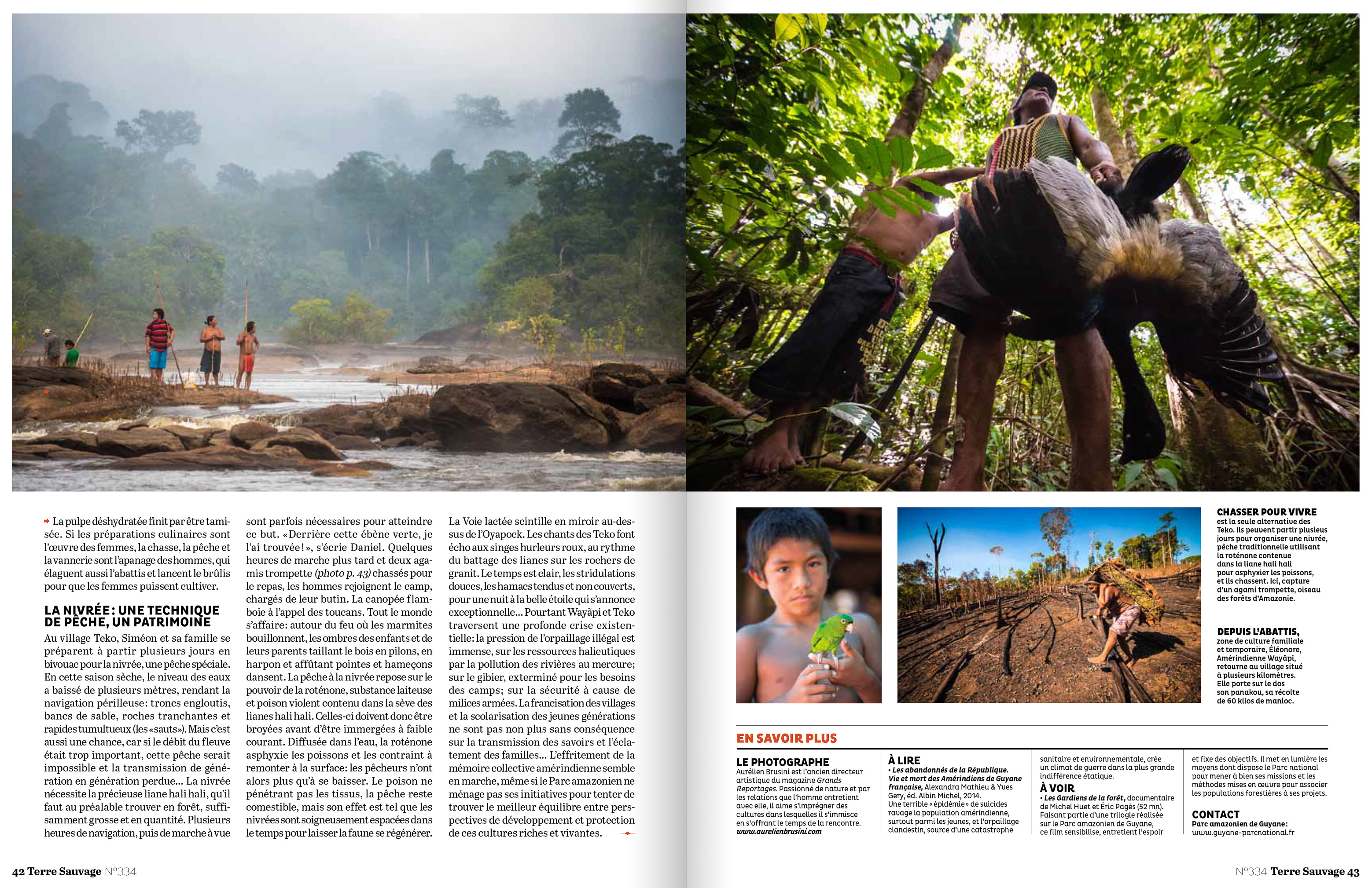 Reportage paru dans le magazine Terre Sauvage n°334 - Texte & photos Aurélien BRUSINI - Hémis.fr