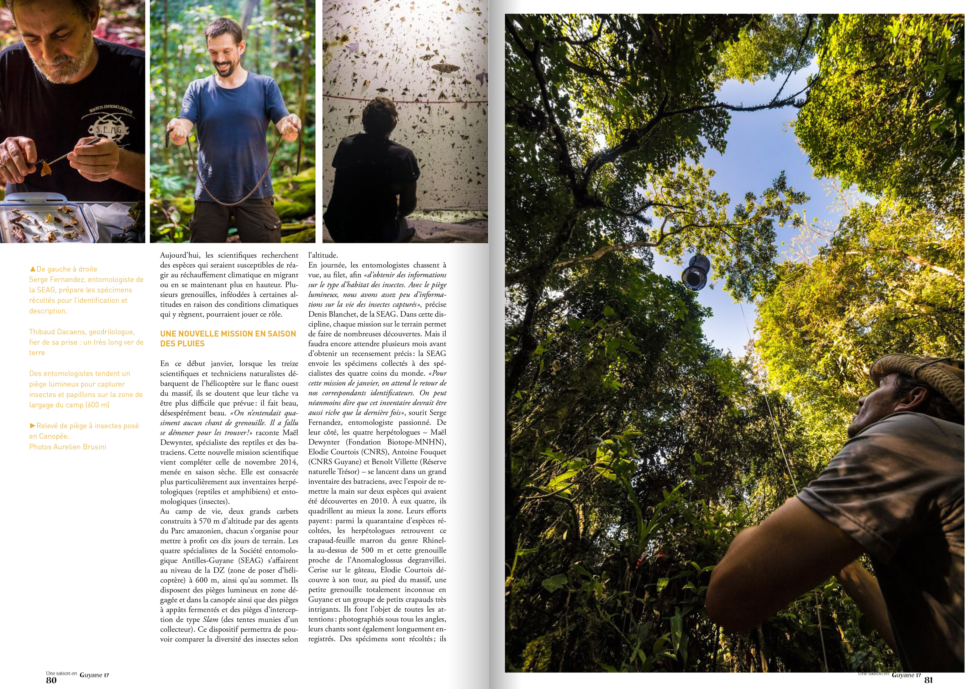 Reportage paru dans le magazine Une Saison en Guyane n°17 - Texte Stéphanie BOUILLAGUET (PAG) / Infographie Géraldine JAFFRELOT (PAG) / Photos Aurélien BRUSINI