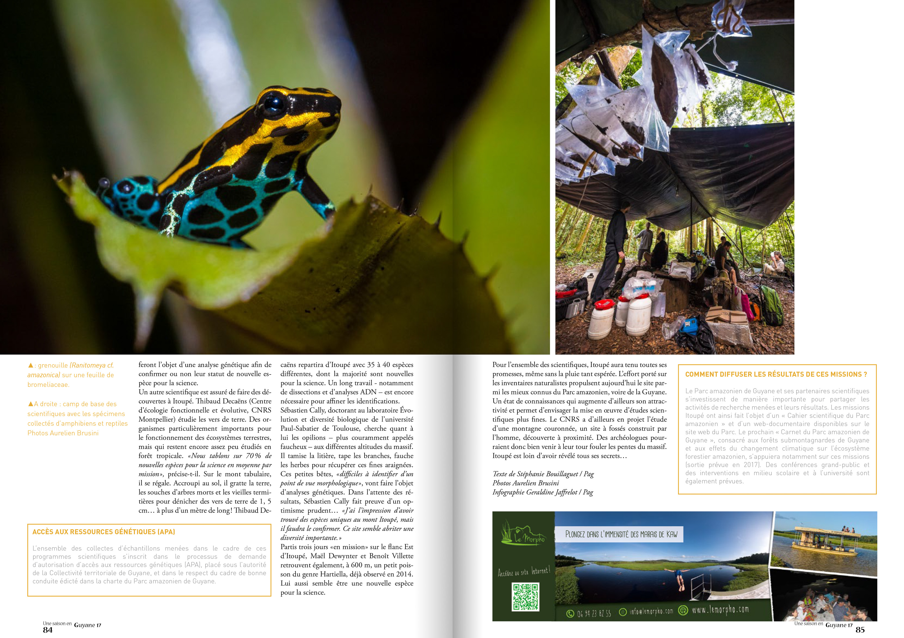 Reportage paru dans le magazine Une Saison en Guyane n°17 - Texte Stéphanie BOUILLAGUET (PAG) / Infographie Géraldine JAFFRELOT (PAG) / Photos Aurélien BRUSINI