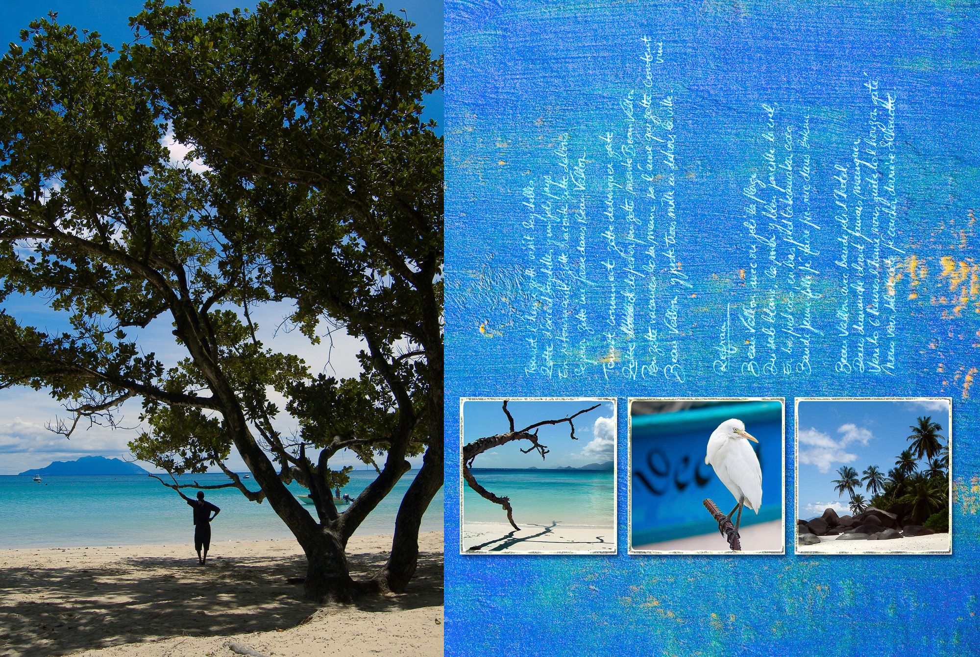Projet graphique d'exploration de la créolité contemporaine suite à ma résidence professionnelle de 2 ans aux Seychelles.