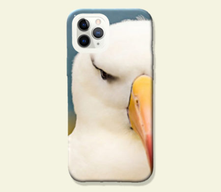 Coque smartphone Albatros