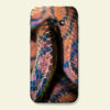 Coque smartphone Boa arc-en-ciel