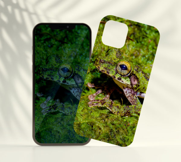 Coque smartphone Helenae