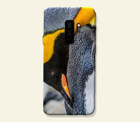 Coque smartphone Manchot royal