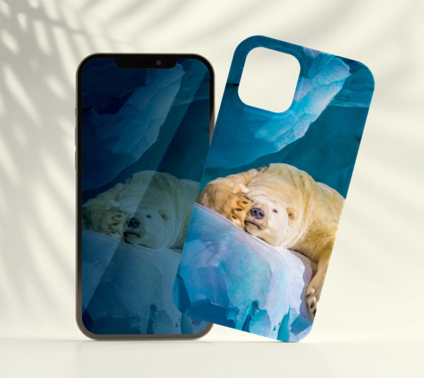 Coque smartphone La sieste de l'ours polaire