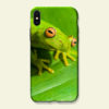Coque smartphone Rainette amazonienne