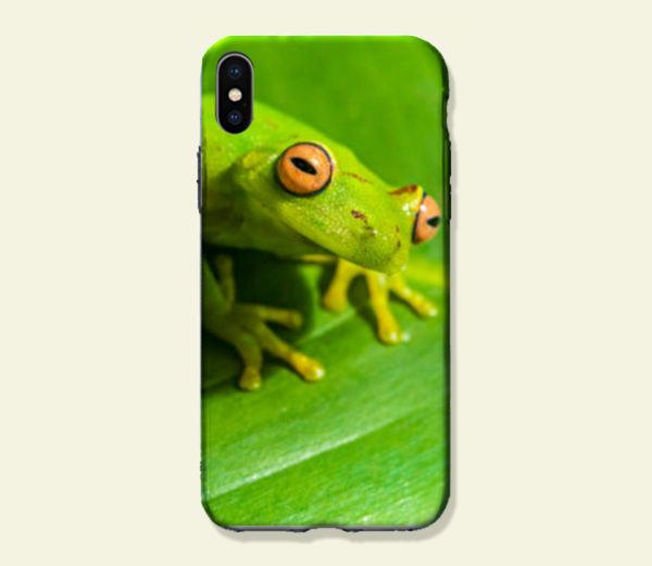 Coque smartphone Rainette amazonienne