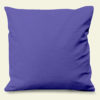 Verso du coussin Antarctica