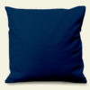 Verso du coussin Grand Ara bleu