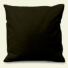 Verso du coussin Urubu