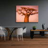 Miroir baobab (Madagascar)