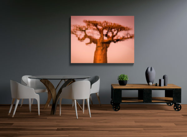 Miroir baobab (Madagascar)