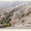 Mont Ventoux (France)