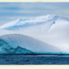 Manchots papous sur un iceberg (Antarctique)