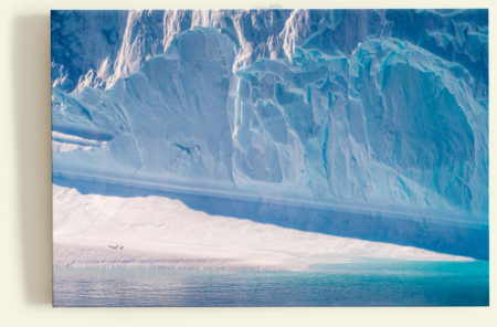 Sieste sur un iceberg (Antarctique)