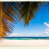 Plage paradisiaque (Petite-Terre, Guadeloupe)