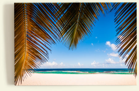 Plage paradisiaque (Petite-Terre, Guadeloupe)