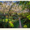 Sur le sentier (La Réunion)