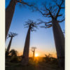 Sunset (Madagascar)