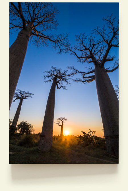 Sunset (Madagascar)