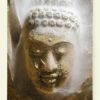 Bouddha (Guyane)