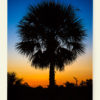 Florida