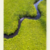 Canal des Rotours (Guadeloupe)