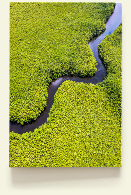 Canal des Rotours (Guadeloupe)