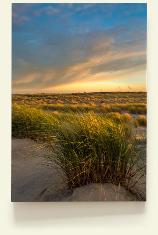 Skagen (Danemark)